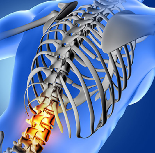 osteo (1)